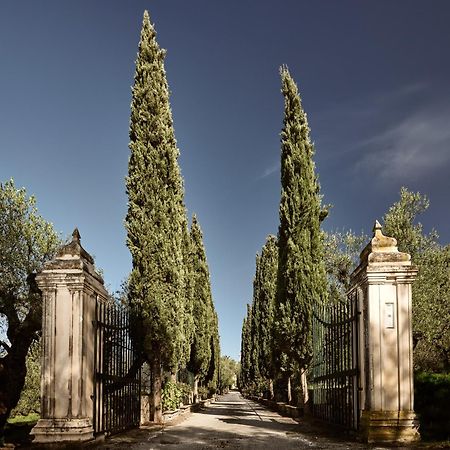 Almeira 4Acre Estate, For Unparalleled Seclusion, By Thinkvilla Zákynthos by Eksteriør billede