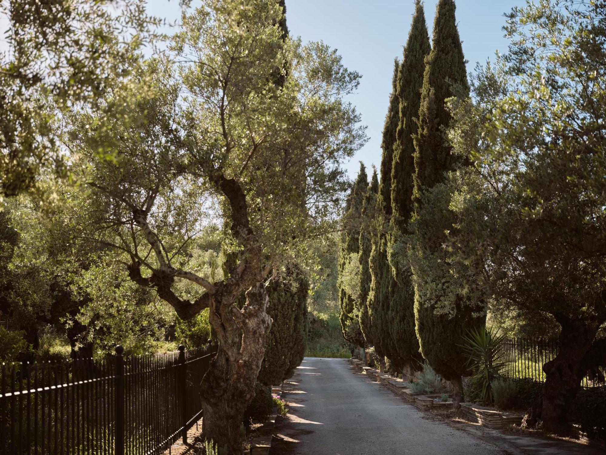 Almeira 4Acre Estate, For Unparalleled Seclusion, By Thinkvilla Zákynthos by Eksteriør billede